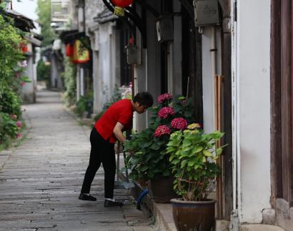 Dream of Jiangnan 79