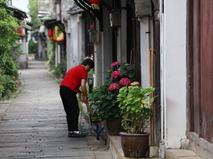 Dream of Jiangnan 80
