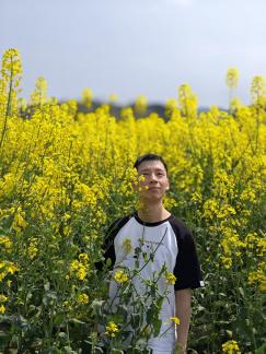 rape flowers 1