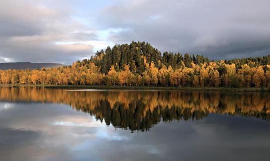 Autumn reflections