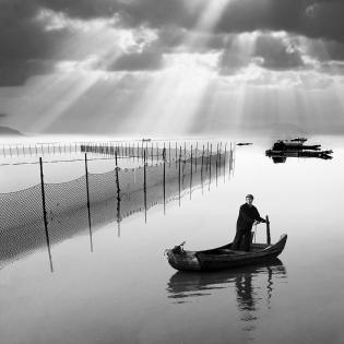 Sea pastoral