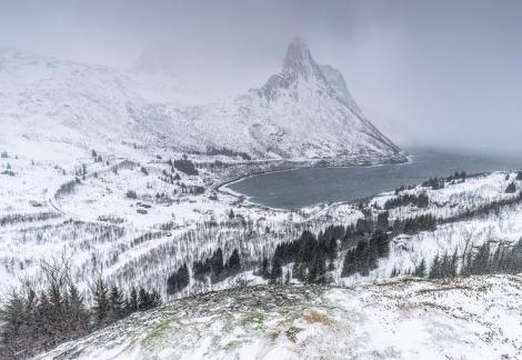 Fjordboten view