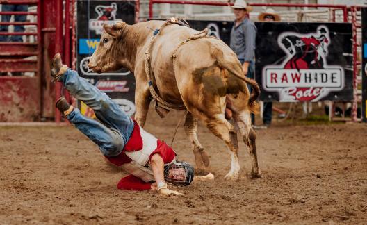 Bull Riding 103