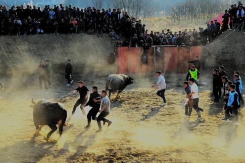 Bullfighting ring