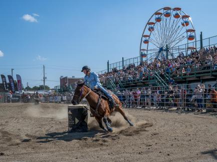 Tradition Farm Fair Game