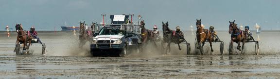 trot race start 4