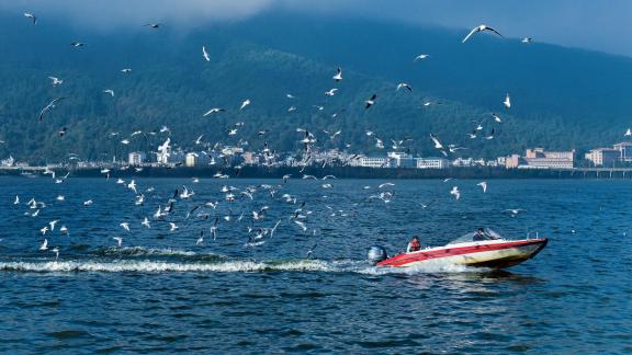 Dianchi Lake