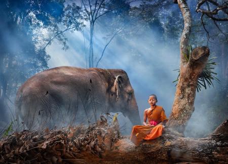 Me and the elephant