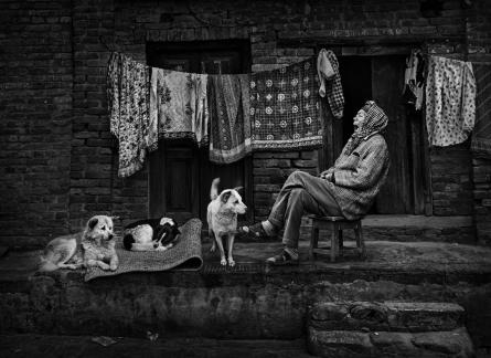 Yawning and dogs