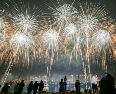 Fireworks bloom in full bloom 14