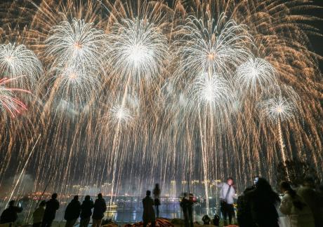 Fireworks bloom in full bloom 15