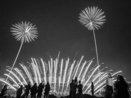 Fireworks bloom in full bloom 9