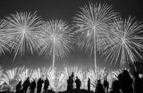 Fireworks bloom in full bloom 11