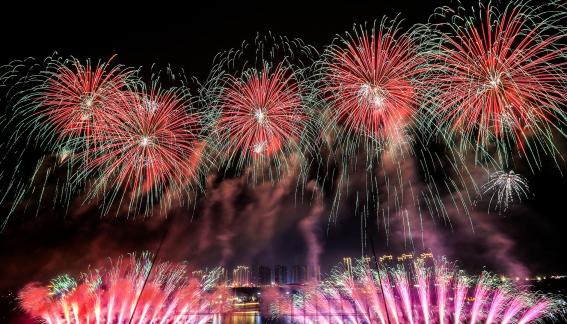 Fireworks bloom in full bloom 7