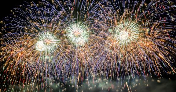 Fireworks bloom in full bloom 8