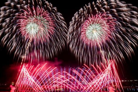 Fireworks bloom in full bloom 1