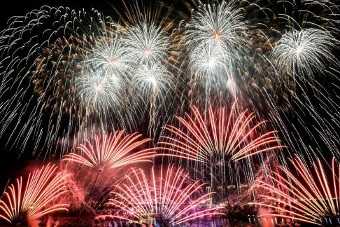 Fireworks bloom in full bloom 2