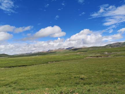 Qingqing Grassland 4