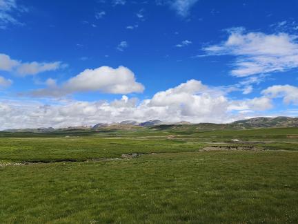 Qingqing Grassland 5