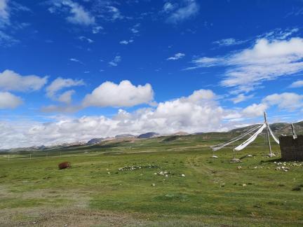 Qingqing Grassland 6