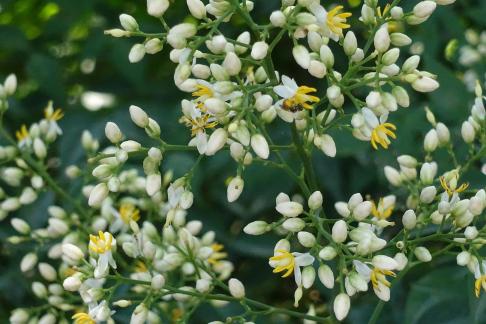 was studded with stars1