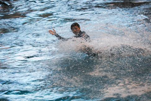 Marine Animal Performance 31