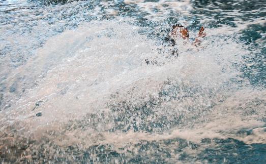 Marine Animal Performance 32