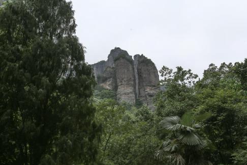 Thick greenery in the mountains 4