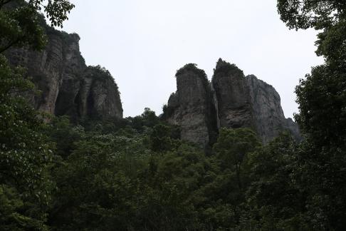 Thick greenery in the mountains 6