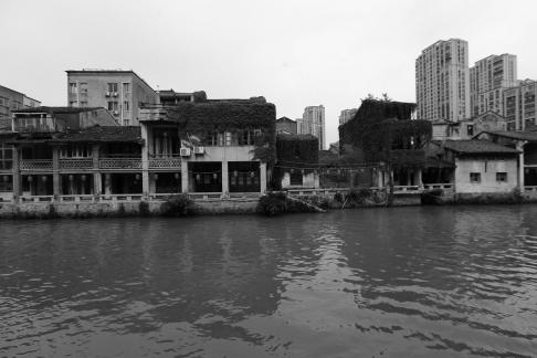 Green Wave Reflection 1