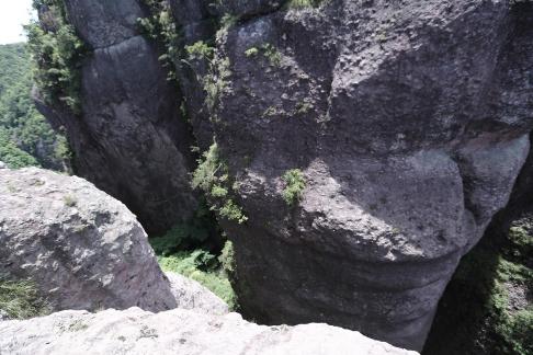 Mountain vegetation 5