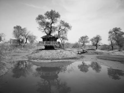 Tears of the Desert Heart 4