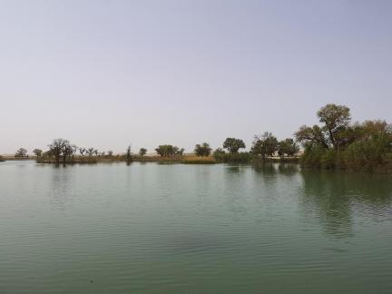 Tears of the Desert Heart 7