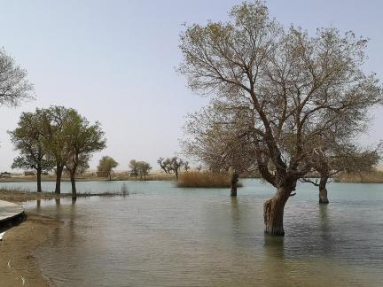 Tears of the Desert Heart 10