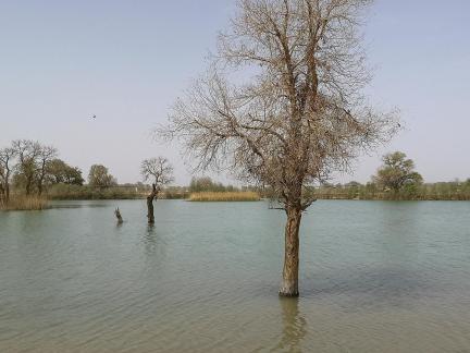 Tears of the Desert Heart 11