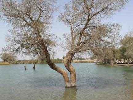 Tears of the Desert Heart 12