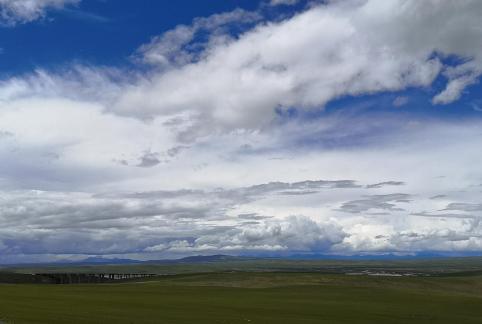 Yunmu Green Field 10