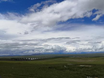 Yunmu Green Field 11