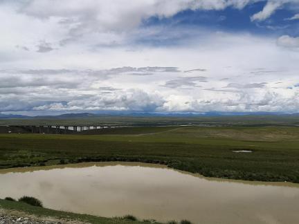 Yunmu Green Field 12