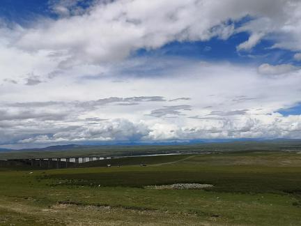 Yunmu Green Field 14