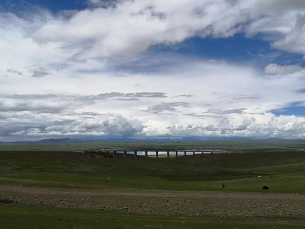 Yunmu Green Field 15