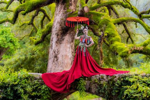 The Druid and Old Tree