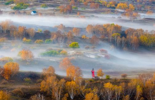 Autumn scenery on Bashang