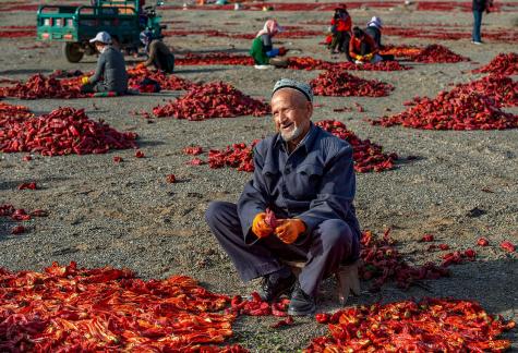 Old man drying peppers