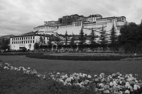 Take a photo in Xizang 32