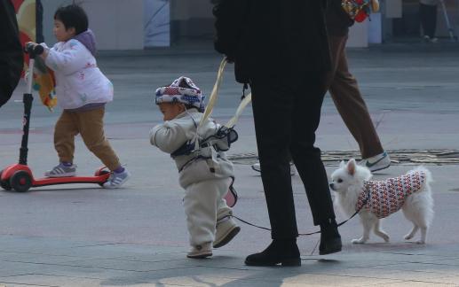 Street scenery 90