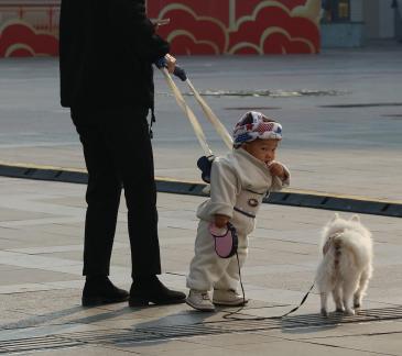 Street scenery 88