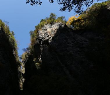 Sky Cliff