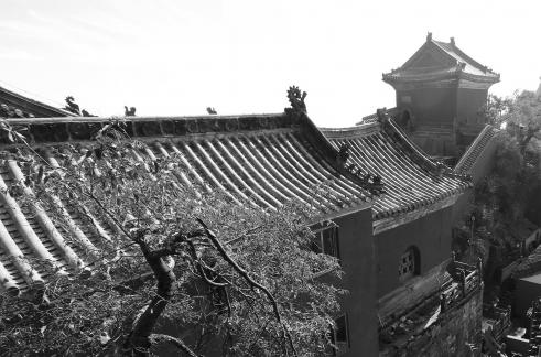 Journey to Wudang Mountain 109