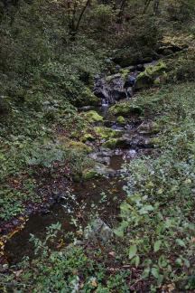 mountain stream 5